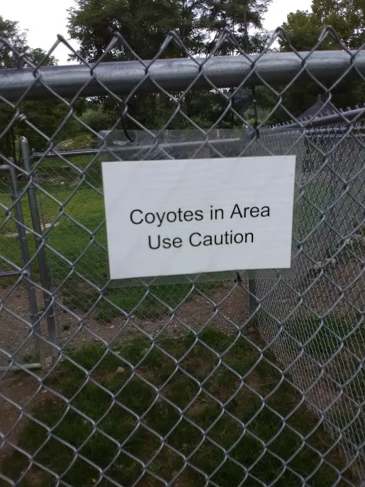 Doherty Park Field Picture 9