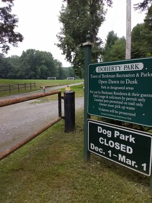 Doherty Park Field Picture 3