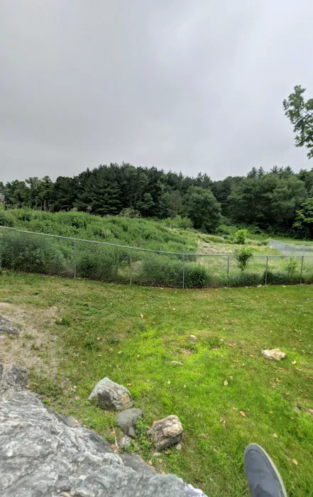 Doherty Park Field Picture 5
