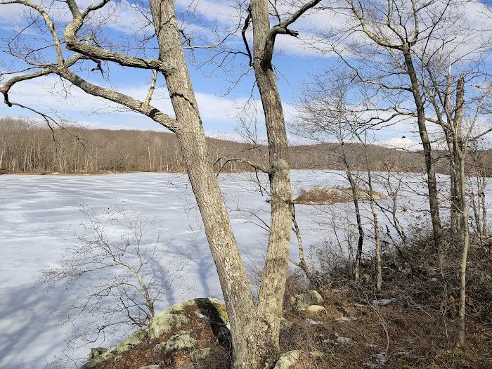 Appalachian Trailhead for Nuclear Lake Picture 8