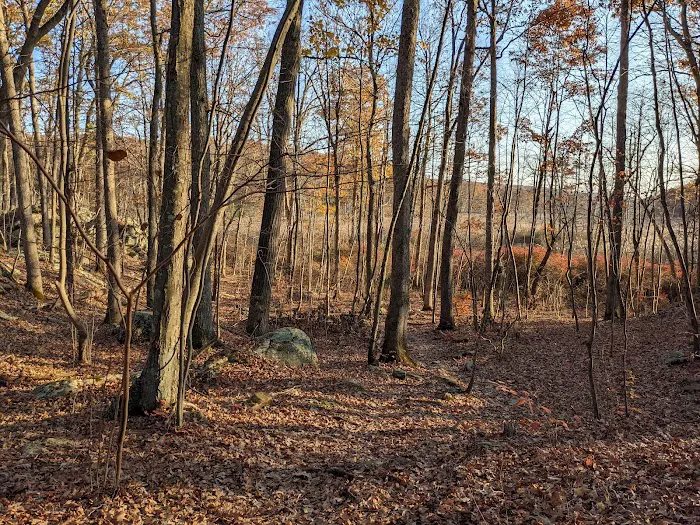 Appalachian Trail Picture 1