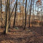 Appalachian Trail