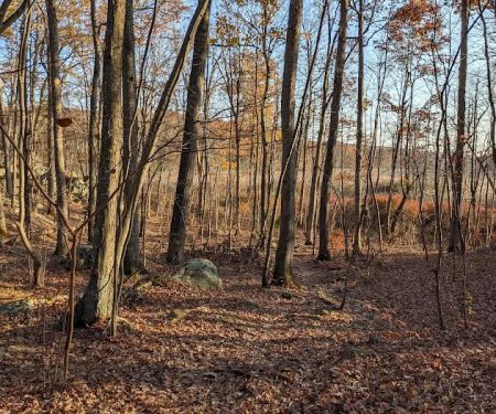 Appalachian Trail
