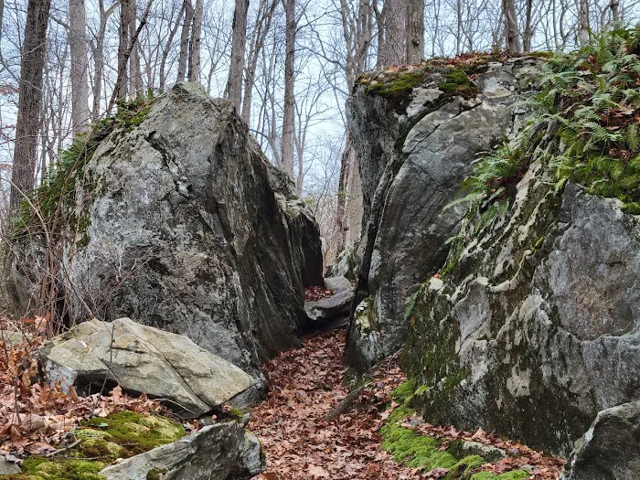 Appalachian Trail Picture 4