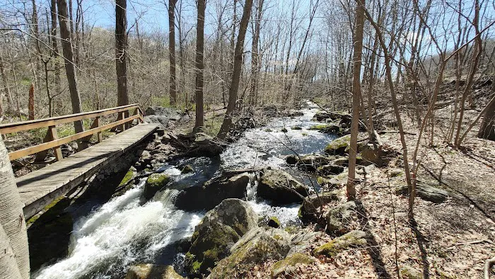Appalachian Trail Picture 6