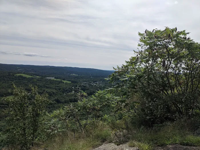 Appalachian Trail Picture 2