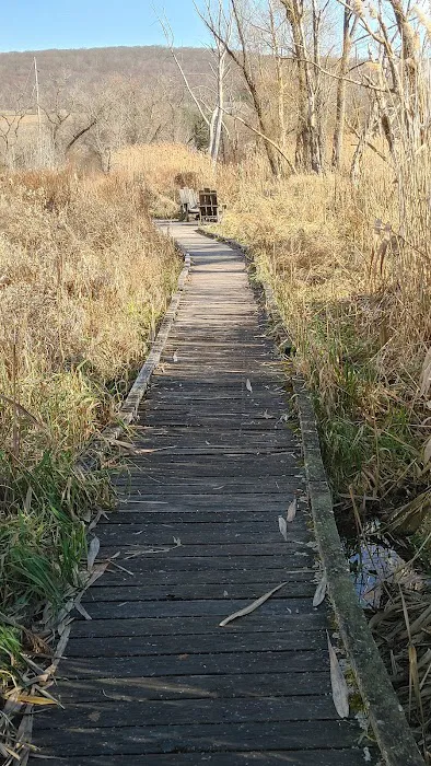 Appalachian Trail Picture 9