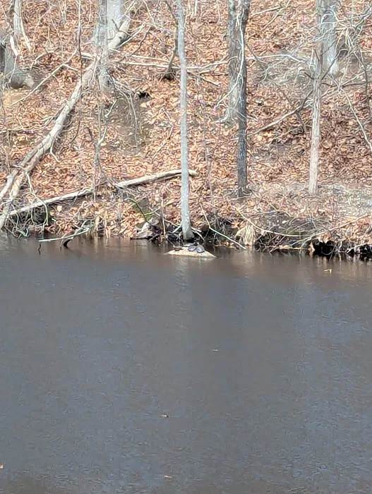 Housatonic Valley Rail Trail Access Point Picture 4