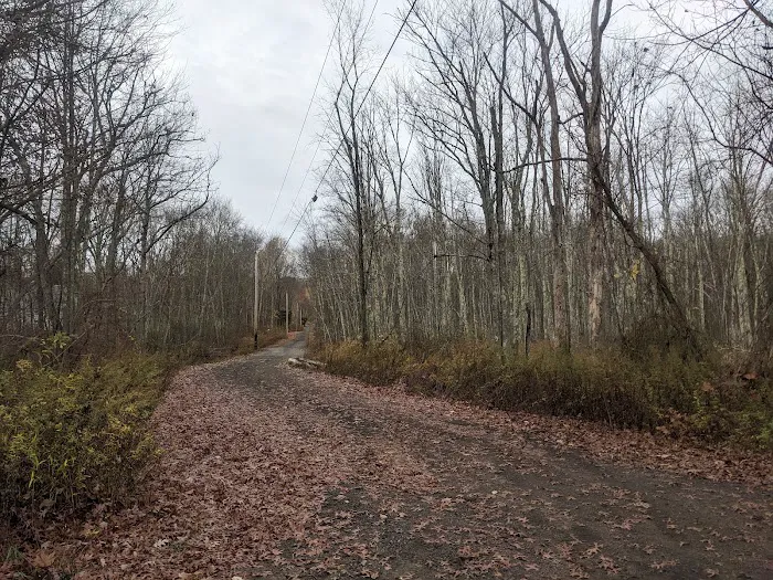 Pequonnock River Trail Picture 7