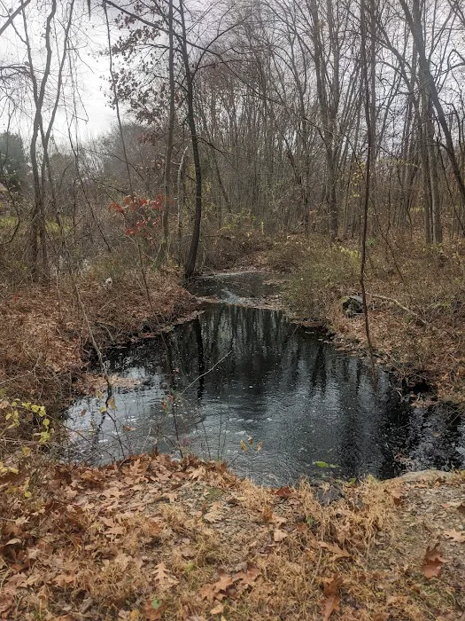Pequonnock River Trail Picture 8