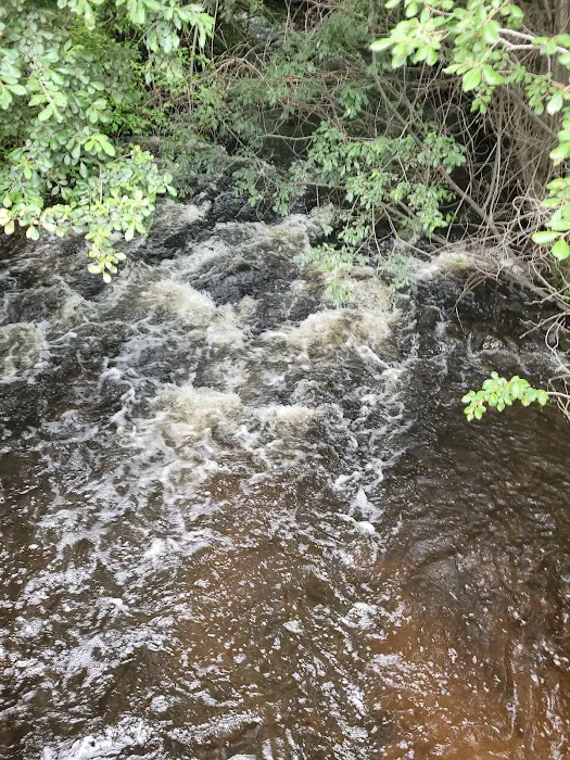 Pequonnock River Trail Picture 4