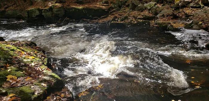 Pequonnock River Trail Picture 1