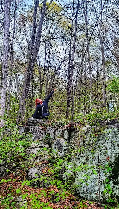 Pequonnock River Trail Picture 9