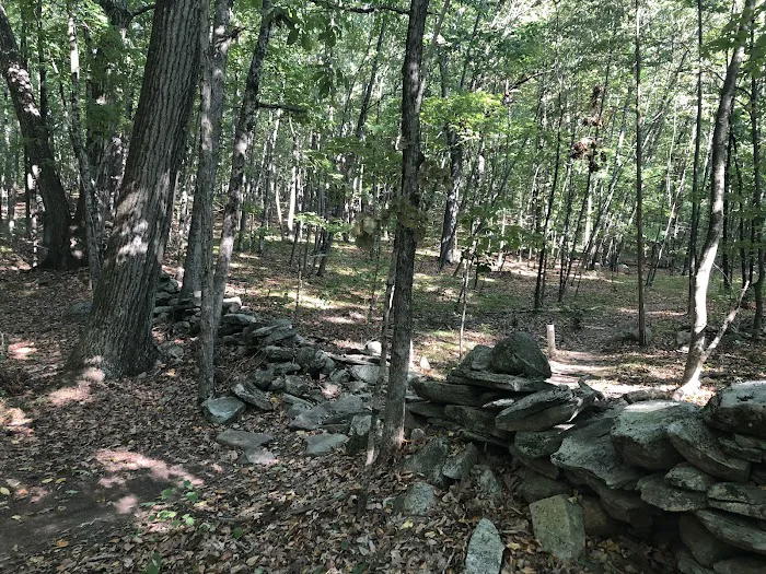 Great Oak Farm trail Picture 3
