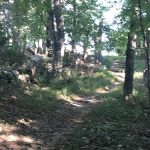 Great Oak Farm trail