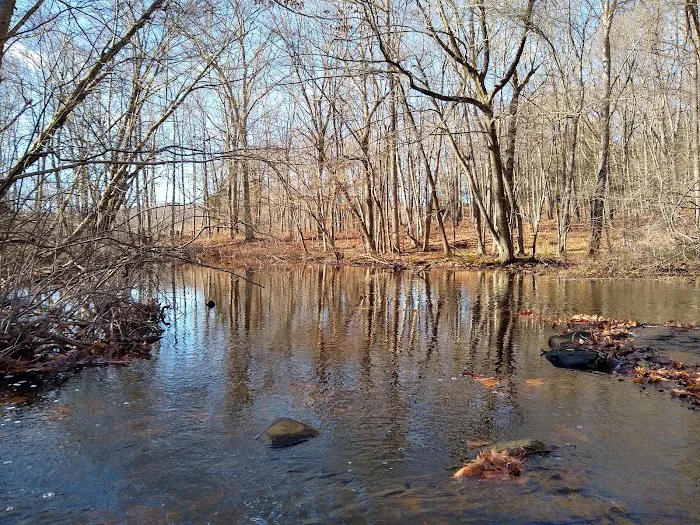 William E. Wolfe Park Picture 4