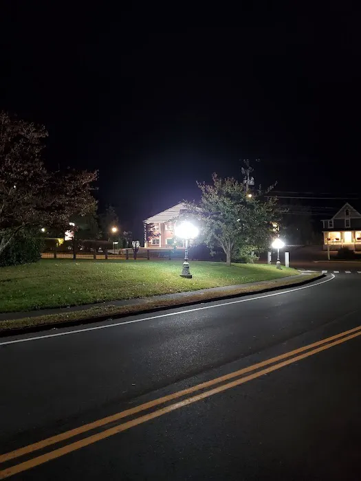 Long Hill Green Picture 3