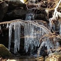 Pequonnock River Valley Park - Whitney Avenue Entrance ico