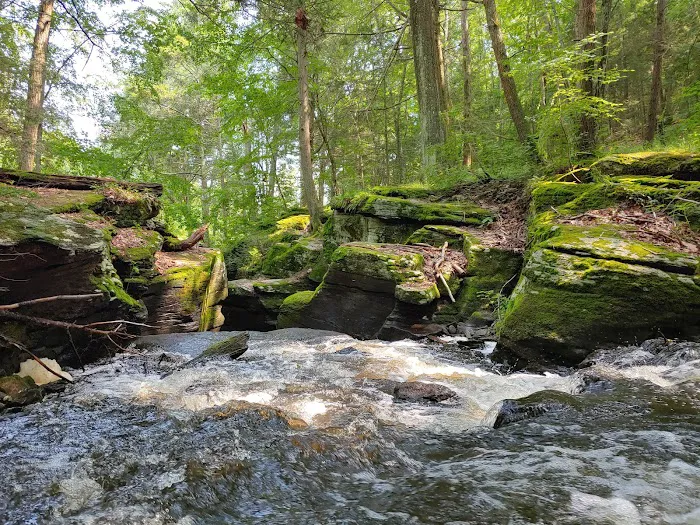 Indian Ledge Park Picture 9