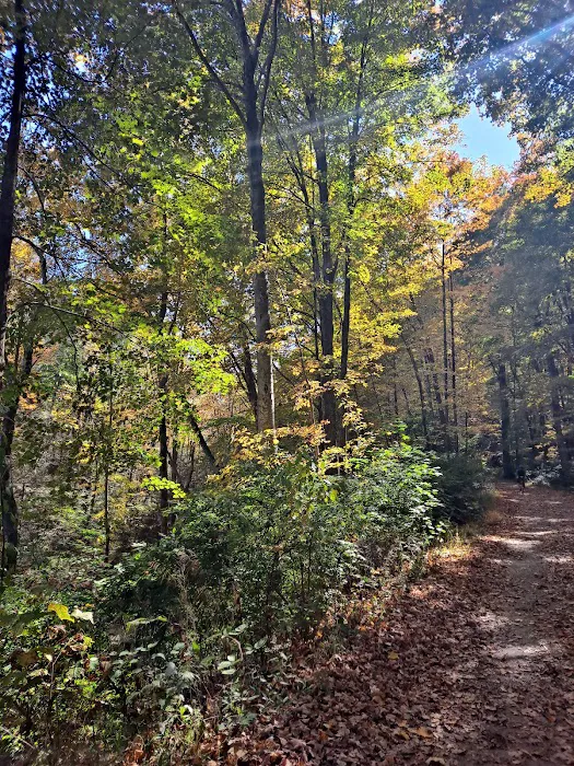 Indian Ledge Park Picture 6