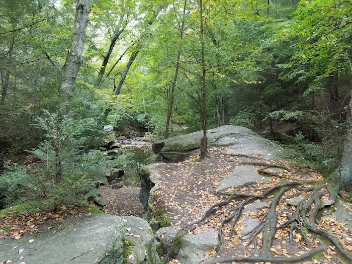 Indian Ledge Park Picture 10