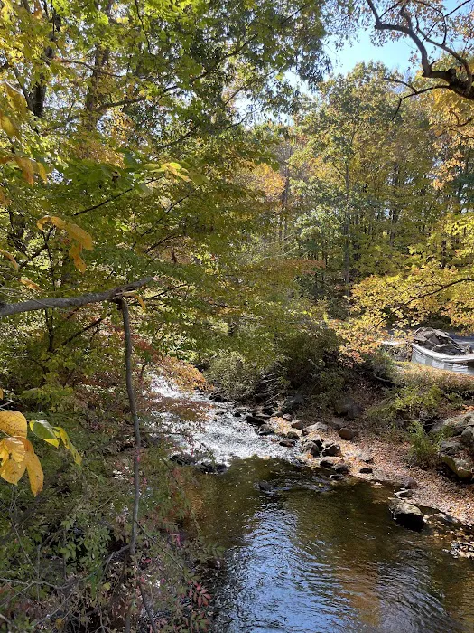 Old Mine Park Picture 3