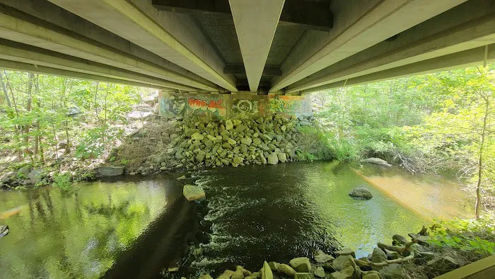 Old Mine Park Picture 1