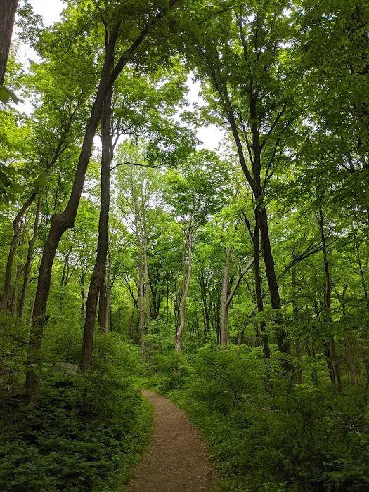 Old Mine Park Picture 8