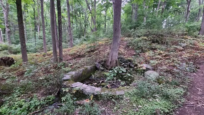 Little Eden spring Picture 1