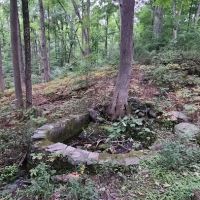 Little Eden spring ico