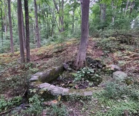 Little Eden spring