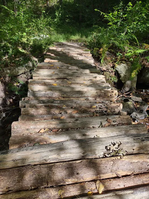 Cherry Grove Preserve Picture 1