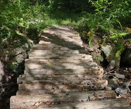Cherry Grove Preserve