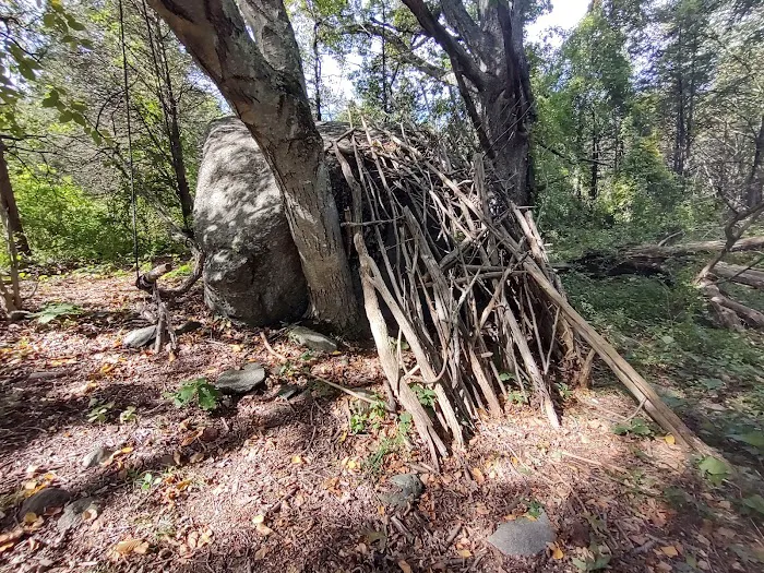 Cherry Grove Preserve Picture 6