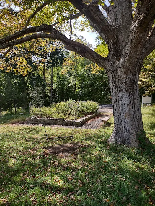 Cherry Grove Preserve Picture 7