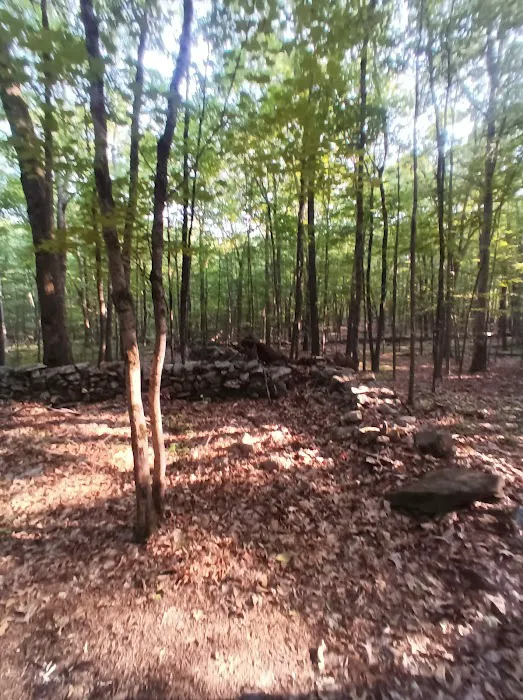Cherry Grove Preserve Picture 5