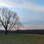 Holcombe Hill Wildlife Preserve