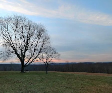 Holcombe Hill Wildlife Preserve
