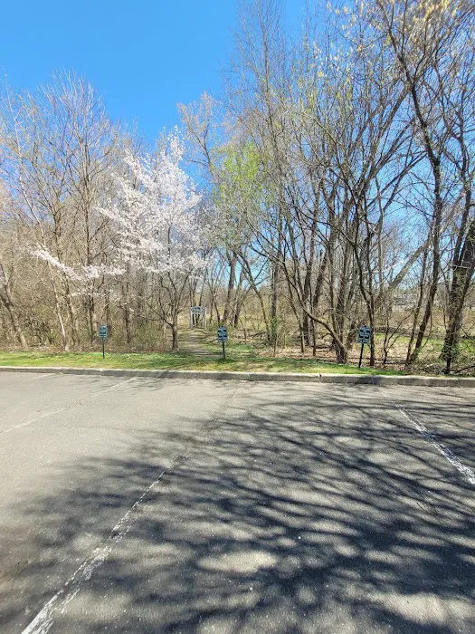 Still River Greenway (Danbury) Picture 7