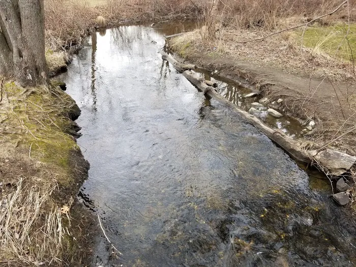 Dickinson Memorial Park Picture 8