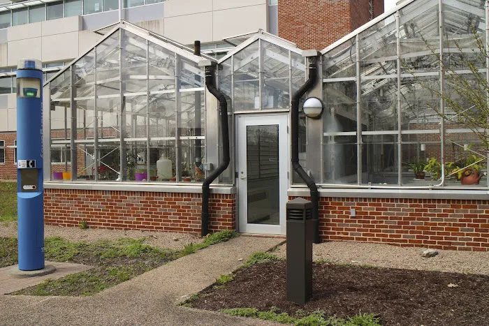 Jane Goodall Center Permaculture Garden Picture 1