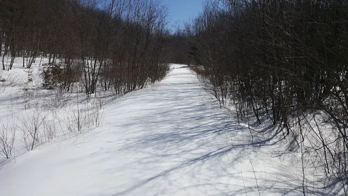 Pequonnock Valley Wildlife Management Area Picture 1