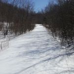 Pequonnock Valley Wildlife Management Area