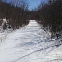 Pequonnock Valley Wildlife Management Area ico