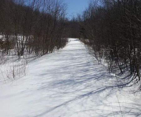 Pequonnock Valley Wildlife Management Area