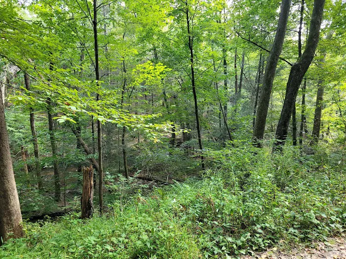Pequonnock Valley Wildlife Management Area Picture 9