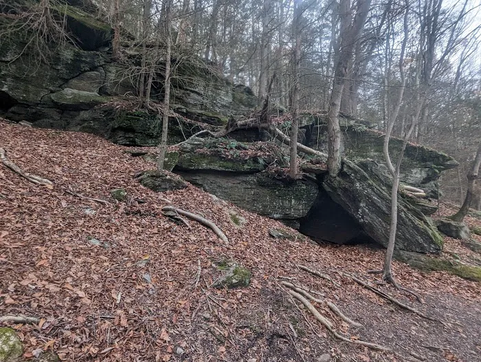 Pequonnock Valley Greenway Picture 8