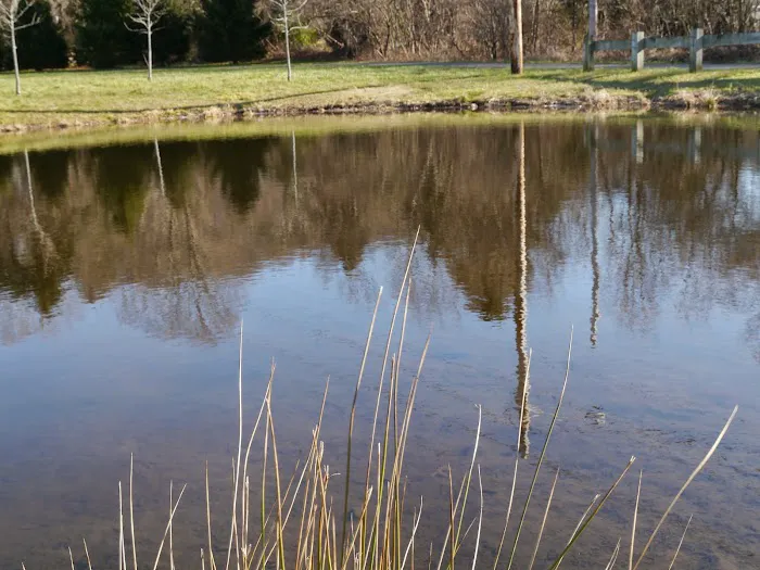 Unity Park Picture 3