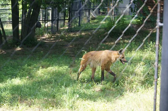Beardsley Park Picture 6