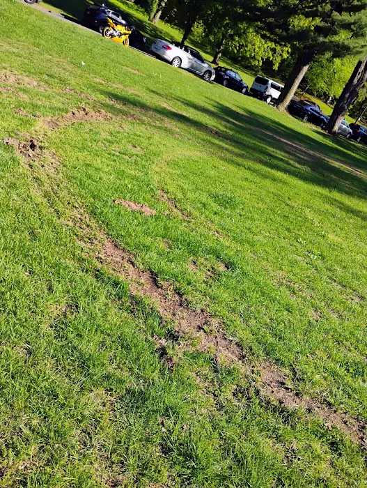 Beardsley Park Field 4 Picture 5